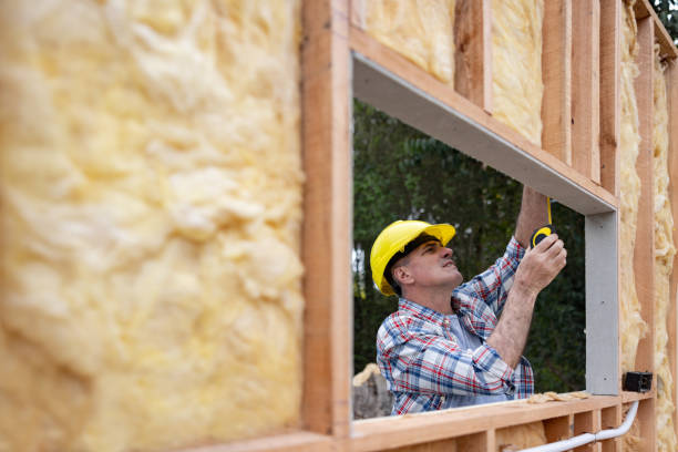 Best Wall Insulation Installation  in USA